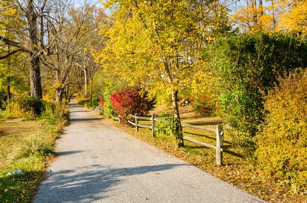 Back Road Lined with a Wooden Fence and Colourful Trees in Autumn — Stock Photo, Image