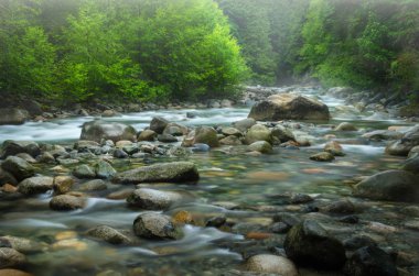 Yağmurlu bir günde dağ nehri