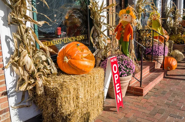 Açık halloween süslemeleri