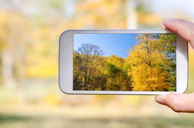 Sonbahar fotoğrafı bir Smartphone ile çekilen