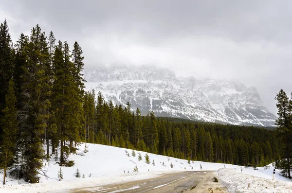 Paisaje de montaña nevada en el Parque Nacional Banff —  Fotos de Stock