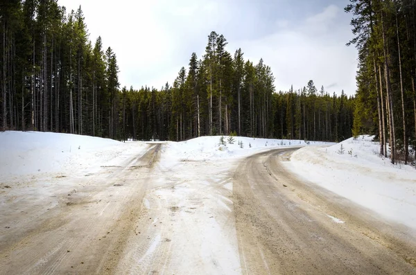 Fork along a Empty Snowy Forest Road — Stock Photo, Image