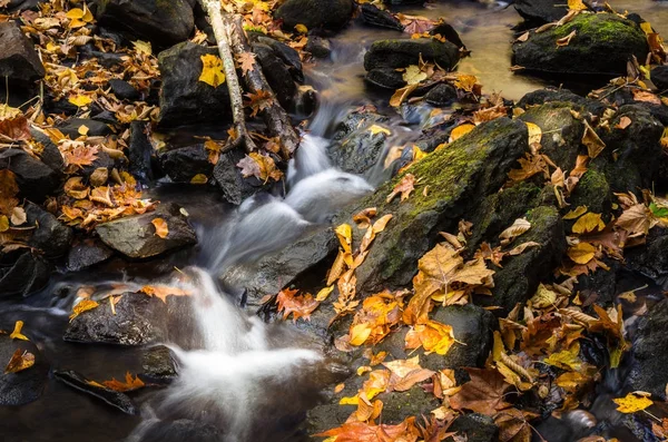 Cachoeira Outonal ao longo de um riacho florestal — Fotografia de Stock