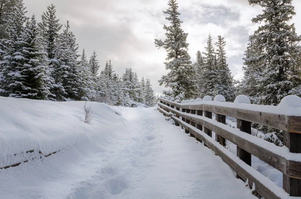 Snowy Path Lined with a Wooden Fence on a Cloudy Winter Day — Stock Photo, Image