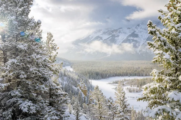 Winter View of Bow River Valley Covered in Snow — Stock Photo, Image