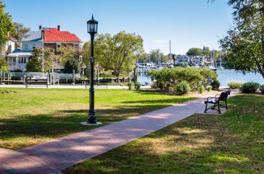 Annapolis, MD, güneşli bir sonbahar gününde bir liman yanında küçük Park. 