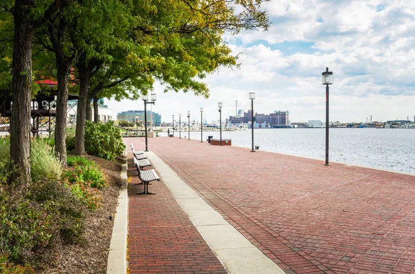 Sentier Bordé Lampadaires Bancs Arbres Long Front Mer Baltimore Lors — Photo