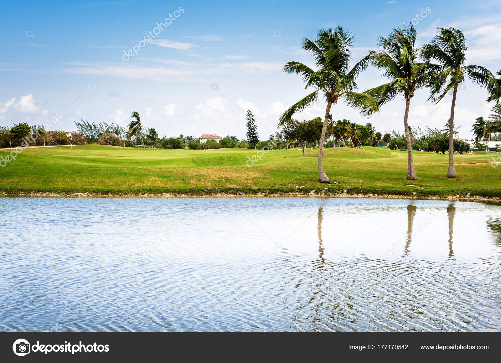 Golfplatz Mit Palmen Und Teich Vordergrund Einem Frühlingstag