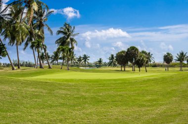 Bir Golf Sahası açık bir bahar gününde hurma ile noktalı bir bakış. Grand Cayman, Cayman Islands.