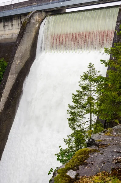 Bir yağmurlu günde bir baraj bahar kullanabilmeli. Ön planda bir çam ağacıdır. North Vancouver, Bc, Kanada.