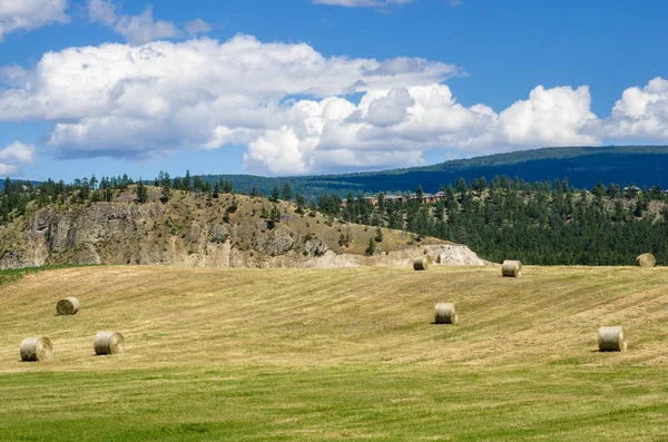 Heuballen Auf Einem Feld Mit Bewaldeten Bergen Hintergrund Und Blauem — Stockfoto