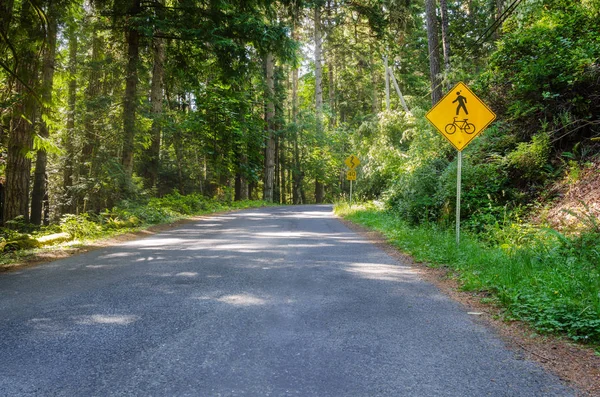 Yellow Road Sign Narrow Forest Road Warning Drivers Pedestrians Bicycles — Fotografia de Stock