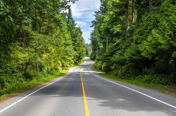 Vazio Curving Road Alinhado Com Árvores Dia Ensolarado Verão Vancouver — Fotografia de Stock