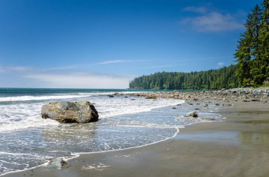 Bozulmamış kayalık plaj boyunca West Coast Vancouver Island'ın, açık bir yaz sabahı. Çin Beach, Sooke, Bc, Kanada.