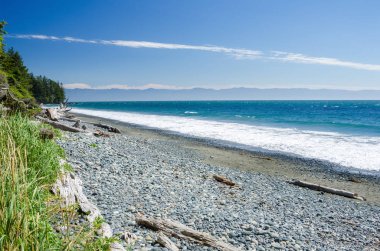 Güzel ıssız Shingle plajı ile dalgaların karaya attığı odun mavi gökyüzünün altında. Vancouver Adası, Bc, Kanada.