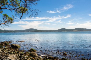 Doğu Sooke Parkı, Bc, Kanada, ormanlık sahillerinin görünümünü güneşli bir yaz sabahı
