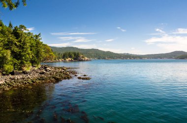 Güneşli bir yaz sabahı görünümü Doğu Sooke Park engebeli ormanlık kıyı şeridi. Vancouver Adası, Bc, Kanada.
