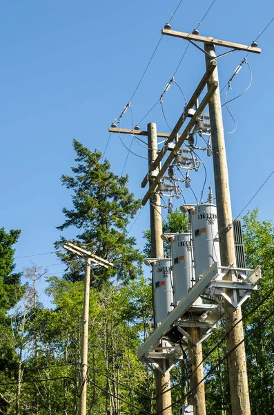Row of Transformers on the top of on an Electricity Pole and Blue Sky. Some Trees are Visible in Banckground