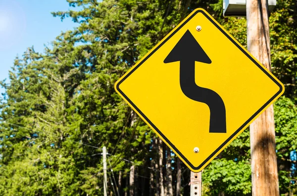 黄路标志警告在晴朗的夏日 在蜿蜒的森林道路前方有危险的曲线 加拿大不列颠哥伦比亚省温哥华岛 — 图库照片