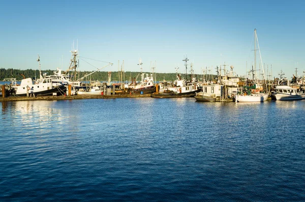 Tug Boats Moored to Jetties in a Harbour at Sunset. Campbell River, BC, Canada. — Stock Image Tug Boats Moored Jetties Harbour Sunset Campbell River Canada Royalty Free Stock Photos