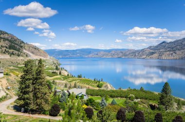 Okanagan Gölü manzarası açık yaz günü ve su yansıması. Üzüm bağları yamaç ön planda görülebilir. Penticton, Bc, Kanada.