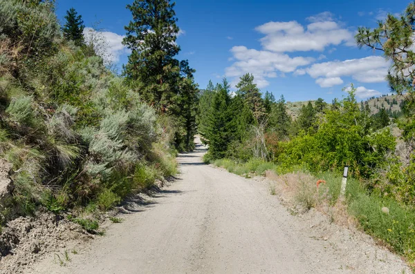 Estrecha Gravel Country Road Bajo Blue Sky Soleado Día Verano — Foto de Stock