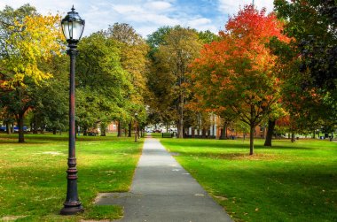 Dar düz döşeli patika eski ile kaplı sokak ışıkları ve bir halk Parkı renkli sonbahar ağaçlarda moda. New Haven, Ct.