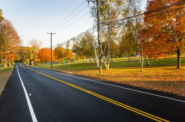 Weergave Van Een Rechte Stuk Van Een Landweg Omzoomd Met — Stockfoto