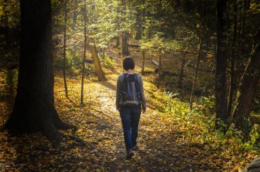 Yalnız kadın Hiker bir orman ağaç gölgelik bir sonbahar gününde filtreleme güneş ışığı ile bir yol üzerinde. Yalnızlık kavramını kent Falls State Park, CT.