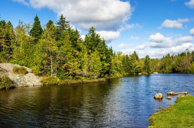Güzel göl güneşli bir sonbahar gününde grip orman mavi gökyüzü altında çevrili. Kırsal New Brunswick, Kanada.