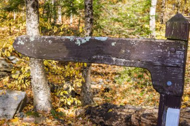 Eski ahşap bir orman yolundan tabelada sonbaharda boş.