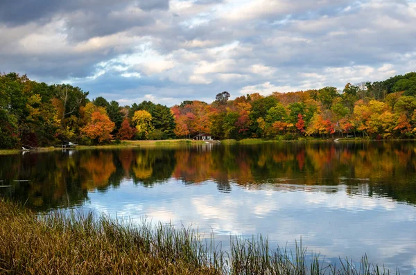曇りの日に美しい湖の岸にカラフルな秋の木々 アメリカ合衆国コネチカット州の田舎 — ストック写真