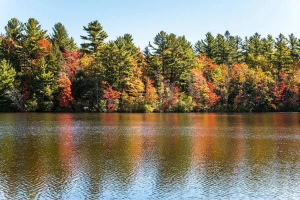 Arbres Colorés Sommet Des Couleurs Feuillage Automne Sur Rive Lac — Photo