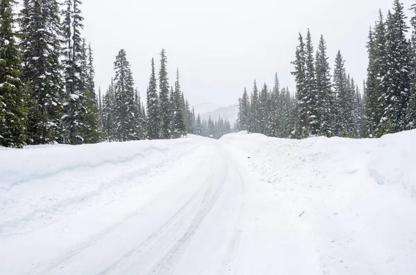Deserted Snow Covered Mountain Road Forest Blizzard Banff National Park — Stock Photo, Image