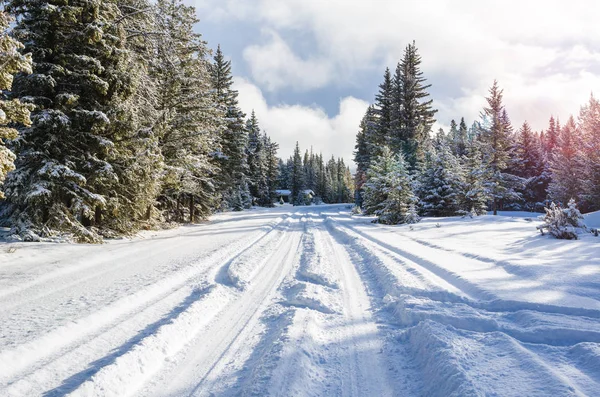 Road Covered Fresh Snow Trought Beautiful Snowy Forest Mountains Winter — ストック写真