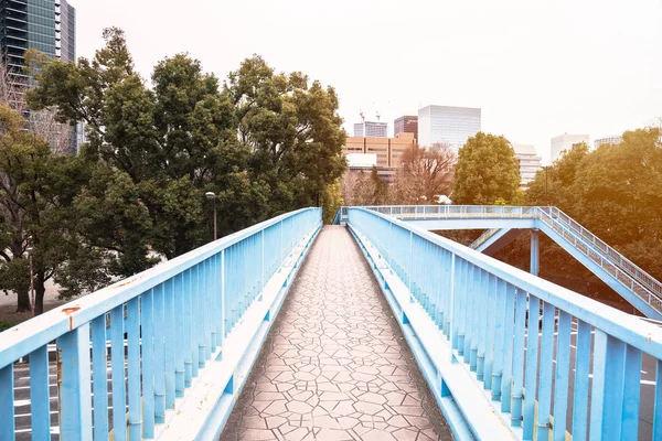 Deserted Footbrige Street Tokyo City Centre Late Winter Day — ストック写真