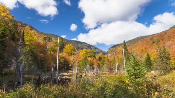 Beautiful Autumnal Mountain Landscape Blue Sky Clouds Smugglers Notch Usa — ストック動画