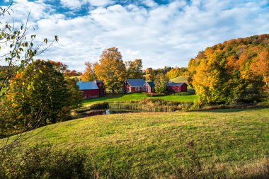 Sonbahar sabahı kırsal bir arazide amont renkli çiftlik binaları. Güzel sonbahar renkleri. Woodstock, Vt, Usa.
