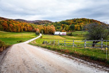 Bulutlu bir sonbahar sabahında, ağaçlık tepelerdeki bir çiftliğe giden kirli bir yol. Woodstock, Vt, Usa.