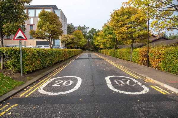 Lege Straat Omzoomd Met Hagen Bomen Met Snelheidslimiet Geschilderd Asfalt — Stockfoto