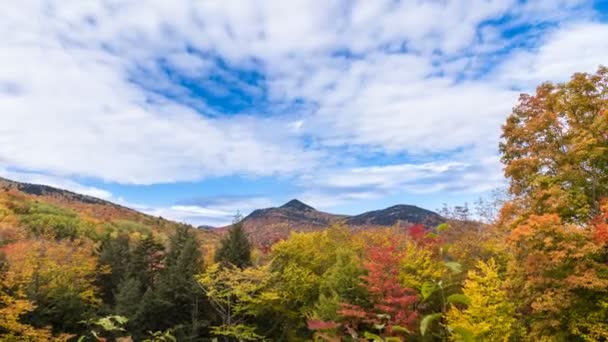Timelapse of colourful forested mountains under blue sky with moving clouds on a fall morning. Bear Notch, NH, USA — Stock Footage Timelapse Colourful Forested Mountains Blue Sky Moving Clouds Fall Morning Video Clip