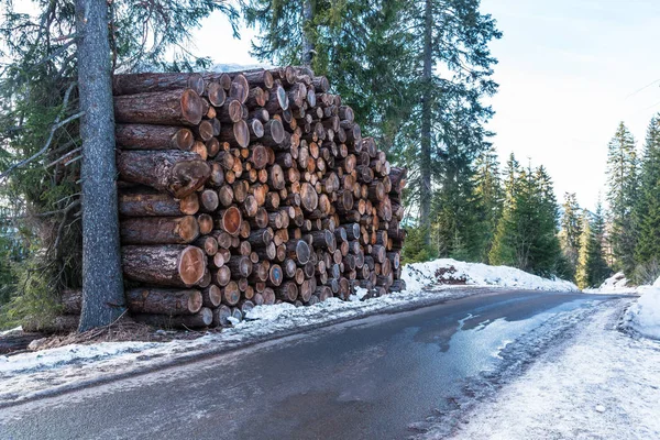 Stack Logs Timber Industry Deserted Mountain Road Cleared Snow Sunny — 스톡 사진