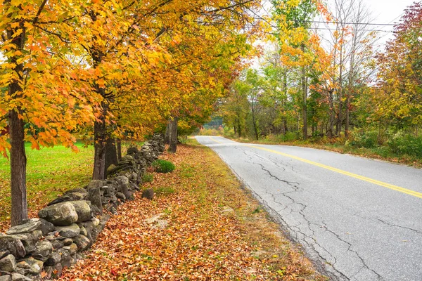 Empty country road lined with colourful trees at the peak of autumn foliage colours. Woodstock, VT, USA