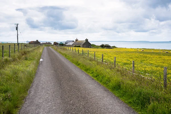 Deserted country road through grassy fields whrere sheep are grazing on a cloudy summer day. The road leads to a small coastl village. A cargo ship in visible in background. Orkney Island, Scotland, UK.