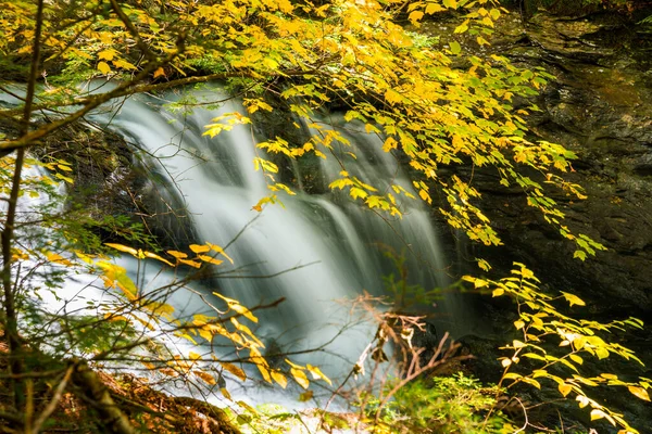 Cachoeira Bonita Com Galhos Árvore Primeiro Plano Uma Manhã Outono — Fotografia de Stock