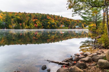 Bulutlu bir sonbahar gününde ormanlık kıyıları olan dağ gölü. Sabah sisi suyun üzerinde sürükleniyor. Vermont, ABD.