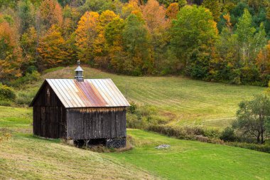Renkli sonbahar ormanlarıyla çevrili bir çayırdaki ahşap ahır. Voodstock, VT, ABD.