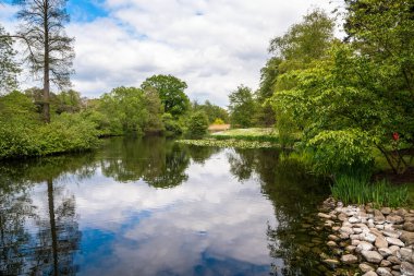 Bir bahar günü halka açık bir parkta yemyeşil bitki örtüsüyle çevrili bir göleti olan Idyllic manzarası. Londra, İngiltere.