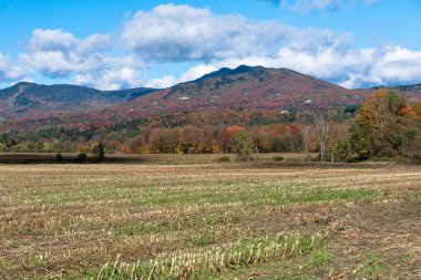 Açık bir sonbahar gününde arka planda orman dağları olan bir tarla. Güzel sonbahar renkleri.