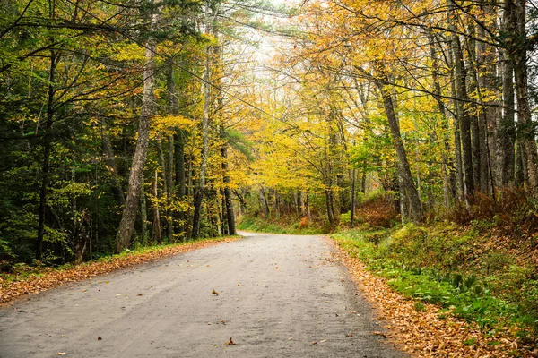 Deserted unpaved country road lined with colourful trees at the peak of fall foliage on a cloudy day. Woodstock, VT, USA.